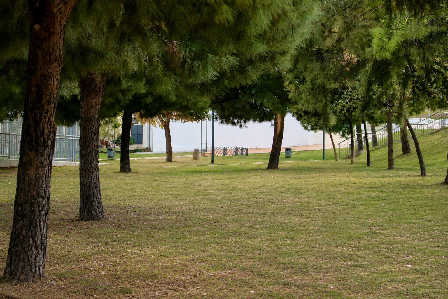 Parques